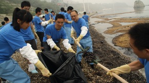 环境保护 - 海滩清理